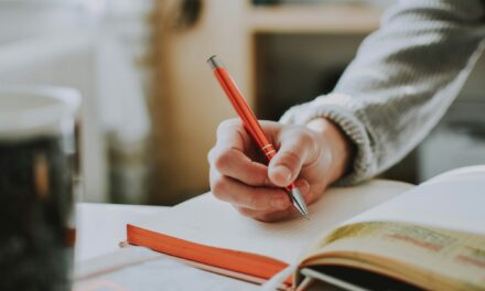The Success Journal: Your Secret Weapon for an Excellence Mindset