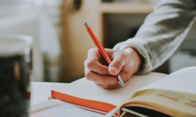 The Success Journal: Your Secret Weapon for an Excellence Mindset